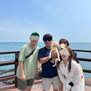 두온풀빌라 | 경북 애견동반 독채 풀빌라/ 경주 두온풀빌라