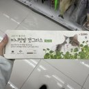 텃밭동천점 네이버블로그