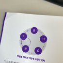 스노우볼컨설팅