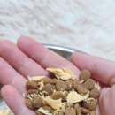 스마일독 이미지