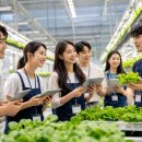 홍성 월산지구 도시개발사업 | [스마트팜 뉴스] 스마트팜 관련 2분기 핵심 소식 결산 요약 🍀