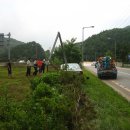 잔디휴가중 이미지