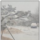 엘림햇살 이미지