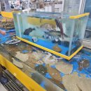 어시장칼국수 이미지