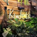 수진역 3번출구 이미지