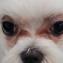 행복플러스동물병원 이미지