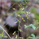 양산갈고리 이미지