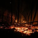 포항시남구50 이미지