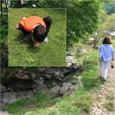 하늘소리목장 이미지