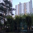 3차동부마트 이미지