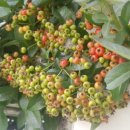 (주)월드팜코리아 이미지