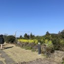 귤담 스테이 이미지