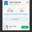 계명대마스터태권도 | 굿나잇책방