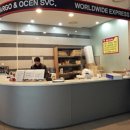 (주)디펙스
