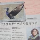 대한민국에 三角波渡 이미지