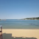 구디웨키 이미지