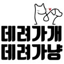 부천강아지분양 고양이분양 24시 데려가개 부천점 이미지