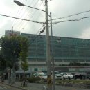 엠(M)자동차 이미지