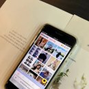 퍼니스토리 | 인스타그램 팔로우 늘리기 무료 퍼니클릭으로 계정 활성화한 실제 사용 후기