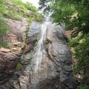 동기농장 이미지