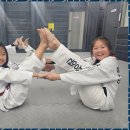 연세 성원 태권도 이미지