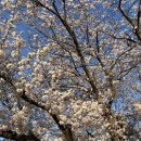 백구소공원 이미지