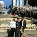 홍농서초등학교 이미지