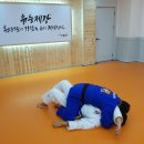 Pedagogy 박사유도관 이미지
