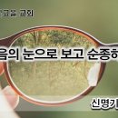 1월3일(수) 믿음의 눈으로 보고 순종하라! 이미지