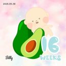 하동우리들병원 | #10. 임신 16주 / 첫 태동 • 배콕콕 • 국내 태교 여행 • 붓기의 시작 / 중기 일상 기록 🐟
