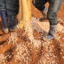 황토한증막 이미지