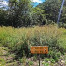 진부령미술관 이미지