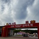 울산광역시시설관리공단 울산하늘공원 | 울산 5월축제 | 울산대공원 장미축제 동물원 관람 후기 | 울산시설공단 서포터즈