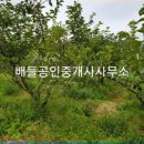 대전리목장 이미지