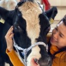 이오목장 이미지