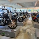 엘림리조트 이미지