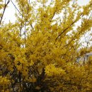 초심농장 이미지