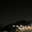 다온숲 | 힐링하고 싶다면 고양이 사는 숲속마을에서 글램핑🔥, 다온숲 글램핑 후기🍂 (예약꿀팁, 내돈내산, 가격...