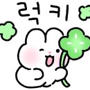 모자이크 어거스트 이미지