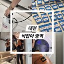 청주본가부여점 | 대전 &#39;싹잡아 방역&#39; 해충퇴치, 살균소독 세스코 비용