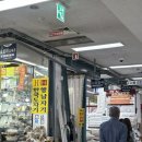 동대문 커튼시장 서진장식 내돈내산 후기