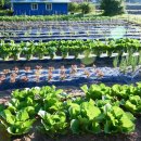 장암농장 이미지