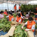 상상유통 이미지