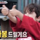 선셋티아 이미지