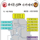 펀치킥 복싱 킥복싱 트레이닝센터 | 수지 킥복싱 바쁜 직장인들에게 운동이 필수인 이유 수지 복싱