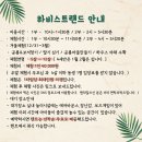 댕이랜드 이미지