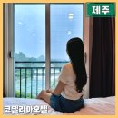 제주 동쪽 성산 가성비 코델리아호텔 수영장 3박4일 연박후기