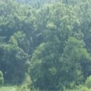 삼산면-4 이미지