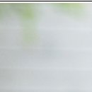 태안한의원 이미지