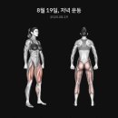 오늘의 운동 이미지